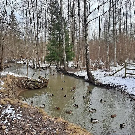 Direct Train To Helsinki And Airport, Near Shopping Center Apartmán *